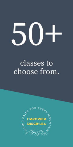 50+ classes to choose from