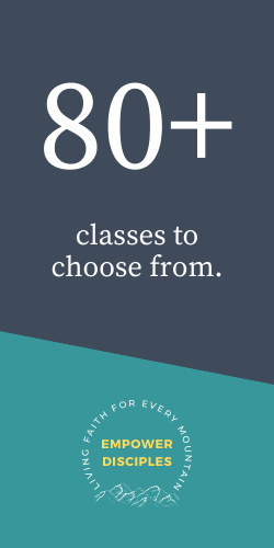 80+ classes to choose from